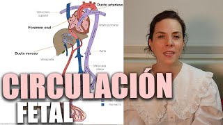 CIRCULACIÓN FETAL [upl. by Collier]