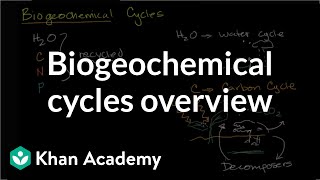 Biogeochemical cycles  Ecology  Khan Academy [upl. by Crawley446]