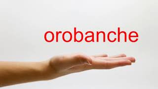 How to Pronounce orobanche  American English [upl. by Aseneg]