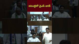 YS Jagan At AP Assembly  అసెంబ్లీలో వైఎస్ జగన్  Ntv [upl. by Enelie555]