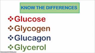 Glucose Glycogen Glucagon and Glycerol [upl. by Ola]