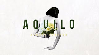 Aquilo  Always Forever Official Audio [upl. by Yorgen936]