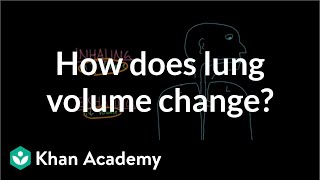 How does lung volume change  Respiratory system physiology  NCLEXRN  Khan Academy [upl. by Earehs]