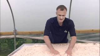 Propagation How to create a misting propagation bench part 1 [upl. by Iana]