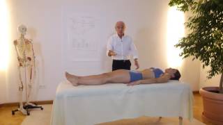 JEANPIERRE BARRAL  Advanced Visceral Manipulation  General overview  Trailer [upl. by Demitria]