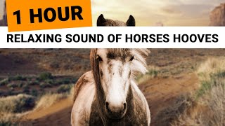 Relaxing Sounds of Horses Hooves 1 Hour 🎧 clip clop ambience for sleep relaxation meditation [upl. by Gypsie]