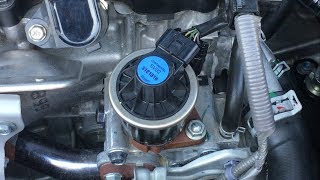 Honda EGR Valve Cleaning DIY [upl. by Reichel]