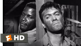 The Defiant Ones 1958  Im Lettin Ya Loose Scene 69  Movieclips [upl. by Ahtiek]