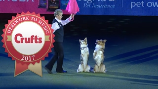 Mary Rays Heelwork To Music Routine at Crufts 2017 [upl. by Maggie950]