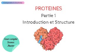 PROTÉINES  INTRODUCTION ET STRUCTURE  Biochimie Facile [upl. by Ducan]