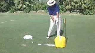 Impact Bag Golf Swing Training Aid [upl. by Herr]