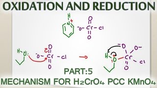 Alcohol Oxidation Mechanism with H2CrO4 PCC and KMnO4 [upl. by Adnor705]