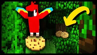 ✔ Minecraft 10 Things You Didnt Know About Parrots [upl. by Eissat]