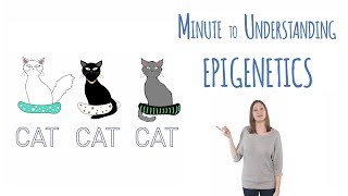 What is epigenetics [upl. by Mun]