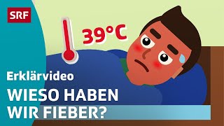 Fieber Darum erhöht sich unsere Temperatur – einfach erklärt  Kindervideos  SRF Kids [upl. by Yatnwahs]