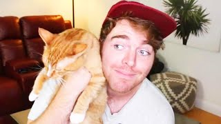 Shane Dawson Denies Disturbing Claim About Cat [upl. by Ennyl747]