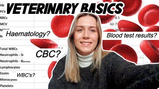 VETERINARY BASICS How to read a blood test CBC amp Haematology [upl. by Oni34]