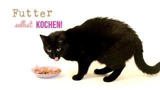 Katzenfutter Rezept  Katzenfutter selber kochen [upl. by Natka]