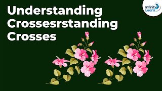 Genetics  Understanding Crosses  Lesson 6  Dont Memorise [upl. by Crist]