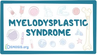 Myelodysplastic syndromes  causes symptoms diagnosis treatment pathology [upl. by Bohaty]