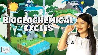 Biogeochemical Cycles  Biology [upl. by Hortense]