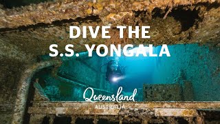 Why you should dive the SS Yongala [upl. by Ehrman]