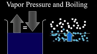 Vapor Pressure 101 [upl. by Archaimbaud389]