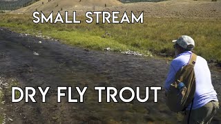 Small Stream Dry Fly Nirvana  Dubois Wyoming [upl. by Nidnerb305]