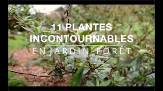 11 plantes incontournables ou presque en JardinForêt [upl. by Aisan]