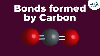 Bonds formed by Carbon  Dont Memorise [upl. by Rutherford]