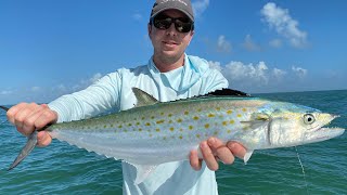 How To Catch Spanish Mackerel The Easy Way [upl. by Eidurt]