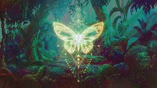 🦋THE BUTTERFLY EFFECT ⁂ Elevate your Vibration ⁂ Positive Aura Cleanse ⁂ 432Hz Music [upl. by Hgielsel]