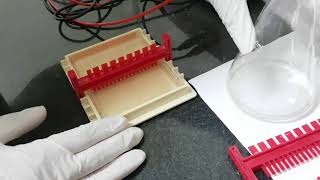 Agarose Gel electrophoresis [upl. by Felicio393]