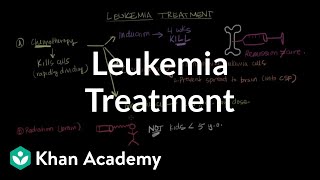 My Leukaemia Symptoms  Patient  Doctor  Leukaemia  Cancer [upl. by Goer58]