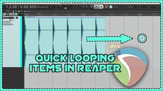 Quick Looping items in REAPER  REAPERDAW Tips and Tricks [upl. by Acirderf303]