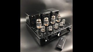 Willsenton R8 Tube Amplifier Review in 6 minutes [upl. by Athena]