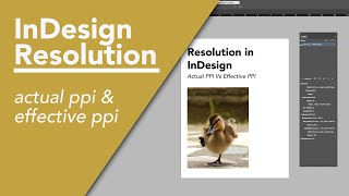 Resolution Effective PPI vs Actual PPI and Resizing Images  Adobe InDesign 2024 Tutorial [upl. by Hoag]