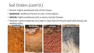 Soil Classification and Survey [upl. by Spenser]