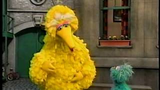 Sesame Street  Big Bird Helps Carlo amp Gina [upl. by Aldora111]