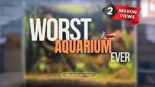 Worst Aquarium Aquascape Ever  Episode 1  Walstad Method [upl. by Staci774]