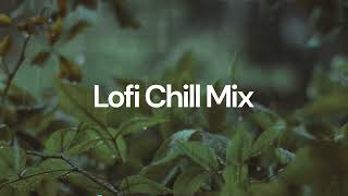 Lofi Chill Mix chill lofi hip hop beats [upl. by Tuesday]