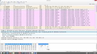 Analysing Ping with Wireshark [upl. by Hanikas]