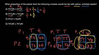 How to calculate phenotype frequency [upl. by Linus890]