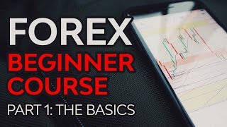 Forex Beginner Course Part 1  Forex Foundation [upl. by Lotty]