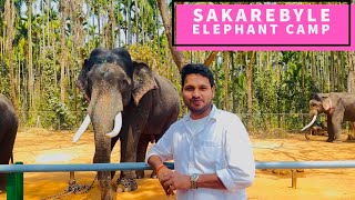 SAKAREBYLE ELEPHANT CAMP Shimoga [upl. by Melgar]