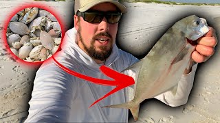 Fishing with SAND FLEAS for POMPANO [upl. by Dloraj]