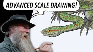 HOW TO DRAW SNAKE SCALES ADVANCED with Waglers Pit Viper [upl. by Analed]