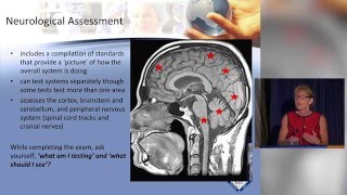 Neurological Assessment [upl. by Imefulo982]