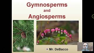 Gymnosperms and Angiosperms [upl. by Cis]