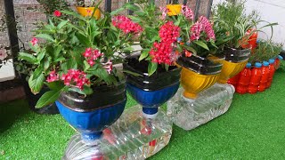 Amazing Flower Pots Recycled From Plastic Bottles  Garden Ideas [upl. by Charie339]